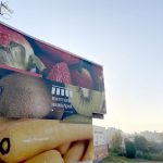 Mercado Municipal de Oliveira do Bairro está a ser requalificado