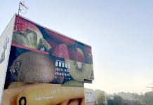 Mercado Municipal de Oliveira do Bairro está a ser requalificado