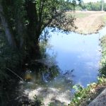 Sessões de esclarecimento sobre a reabilitação e valorização ecológica do rio Levira