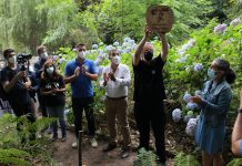 Bosque Madiba recebeu árvore Ubuntu