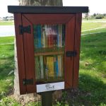 Anadia adere ao projeto das pequenas bibliotecas livres