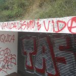 Atos de vandalismo assolam concelho da Mealhada nos últimos dias