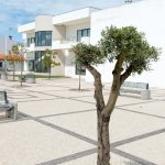 À descoberta dos azulejos da Mamarrosa no próximo dia 14 de agosto