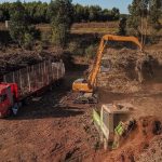 A BIOMASSA FLORESTAL TEM VALOR