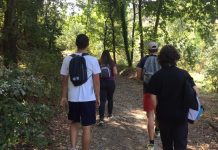Jovens vigiaram floresta do concelho de Águeda durante a época crítica de incêndios