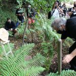 Mealhada nomeada nos “Municípios do Ano Portugal 2021” com bosque Madiba