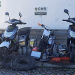 GNR recupera em Águeda material e aves furtadas