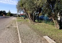 Limpeza de zonas industriais e visita a empresas iniciam nova política municipal