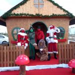 Viva a magia do Natal em Anadia até 2 de janeiro