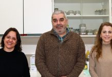 Equipa luso-brasileira desenvolve produtos inovadores para controlo de mosquito