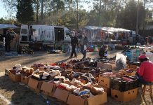 Avança empreitada da nova Feira de Barcouço