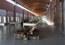 Condições de licitação de lojas no Mercado da Pampilhosa foram aprovadas