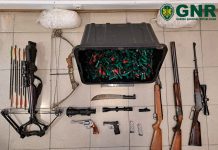 Dois homens detidos, em Anadia, por violência doméstica e posse ilegal de armas