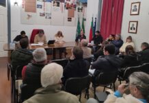 Aprovada desagregação das freguesias da Mealhada, Ventosa do Bairro e Antes