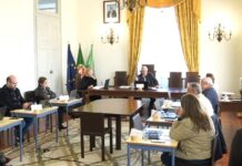 Mealhada aprovou estudo sobre expansão do Sistema de Mobilidade do Mondego