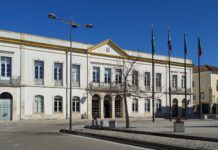 Município de Anadia apoia IPSS na aquisição de viaturas