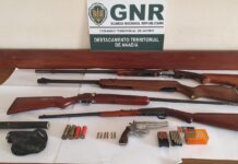 Detido em Oliveira do Bairro por posse de armas proibidas, depois de abater animal