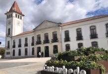 1.ª fase de candidaturas às Bolsas de Inovação Científica em Cantanhede abre a 1 de maio