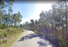 Câmara da Mealhada lança a concurso antiga EN235 que liga Luso ao IP3 e Penacova