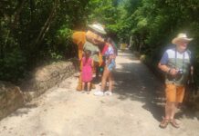 Festival de Artes para Crianças repete-se hoje na Mata do Bussaco