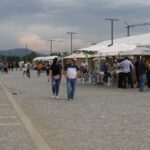 Feira do Ambiente, Saúde e Bem-Estar em Anadia “com balanço positivo”