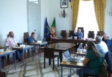 Proposta para descentralização na Saúde, na Mealhada, aprovada «com exigências»