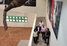 Duas décadas de trabalho expostas no Museu do Vinho Bairrada