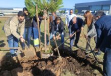Comunidade «planta» bosquete empresarial na Zona Industrial da Pedrulha