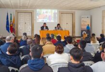 IPC e Autarquia local inauguraram “Cantanhede Creative School”