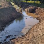 Intervenção no rio Cértima como exemplo de aposta ambiental