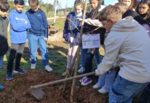 Projeto de reflorestação na Escola Básica e Secundária de Anadia esteve ontem no terreno