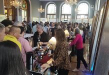 Afluência de visitantes no primeiro dia do Millèsime na Curia. Evento continua hoje.