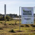 Bosque Empresarial da Pedrulha vai ganhar Hotel para Insetos no Dia Mundial de Árvore