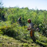 Campo de alimentação de abelhas está a ser construído em Luso