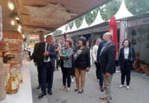 Feira na Mealhada realça as «tradições» e traz «vida» à cidade