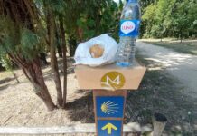 Mealhada assinalou Dia de Santiago com oferta diferenciada aos peregrinos