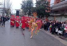 Mealhada não terá «tradicional» Festival de Samba em setembro de 2024