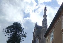 «Concurso do Palace é muito importante para a Mata do Bussaco», diz Guilherme Duarte