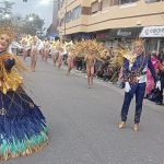 «Milhares de pessoas» resistiram ao frio e estiveram no Carnaval da Mealhada