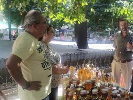 Feira do Mel e do Pão em Luso de 14 a 16 de agosto