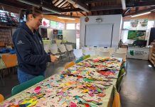 Empresa sediada na Mealhada envolve crianças do 1.º Ciclo em ação solidária