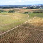 Mealhada assinala Dia Mundial do Enoturismo com inúmeras atividades