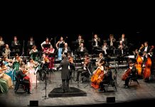 Sons da Orquestra Clássica do Centro, na Mealhada, a 10 de janeiro