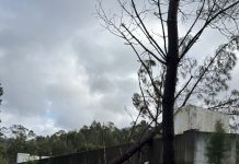 CERC, que inclui Cantanhede e Mealhada, quer levantamento de prejuízos até amanhã