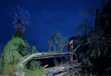 Desalojado na vila de Luso e inúmeras quedas de árvores pelo concelho da Mealhada