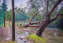Concelho da Mealhada com 500 ocorrências e prejuízos superiores a um milhão de euros
