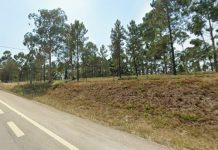 Espaços industriais vão crescer na Mealhada, concelho com muita procura de empresas