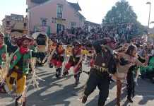 Escolas da Mealhada com inúmeras nomeações nos Globos do Samba