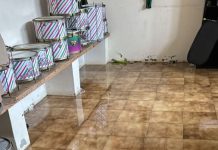 Mau tempo transtornou trabalho das escolas de samba