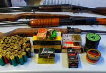 Detido homem, em Cantanhede, por indícios de violência doméstica